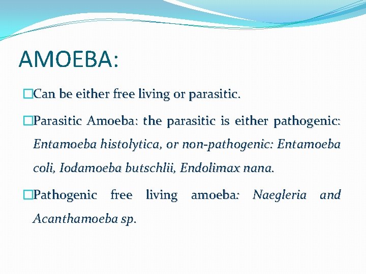 AMOEBA: �Can be either free living or parasitic. �Parasitic Amoeba: the parasitic is either