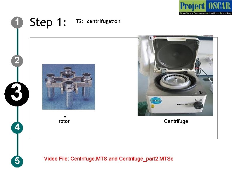 1 Step 1: T 2: centrifugation 2 3 4 5 rotor Centrifuge Video File: