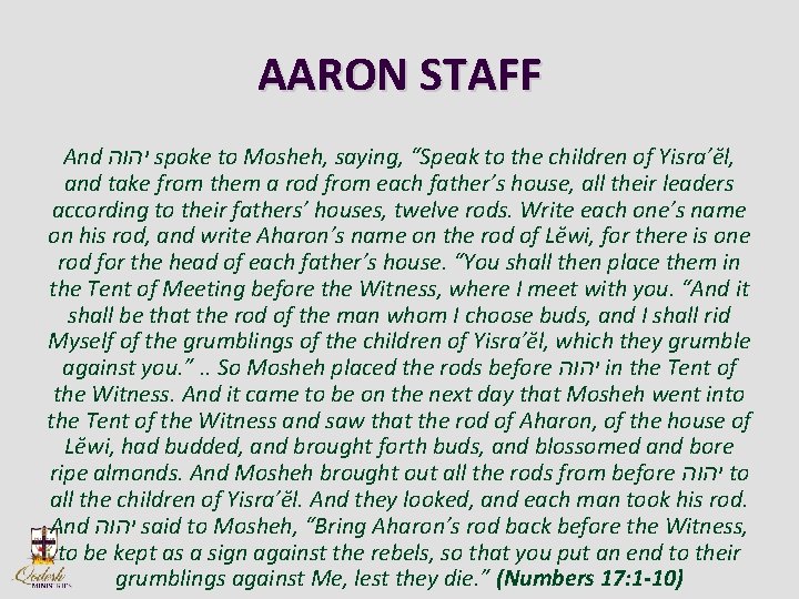 AARON STAFF And יהוה spoke to Mosheh, saying, “Speak to the children of Yisra’ĕl,