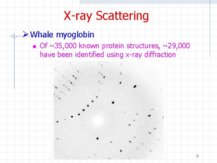 X-ray Scattering Ø Whale myoglobin n Of ~35, 000 known protein structures, ~29, 000