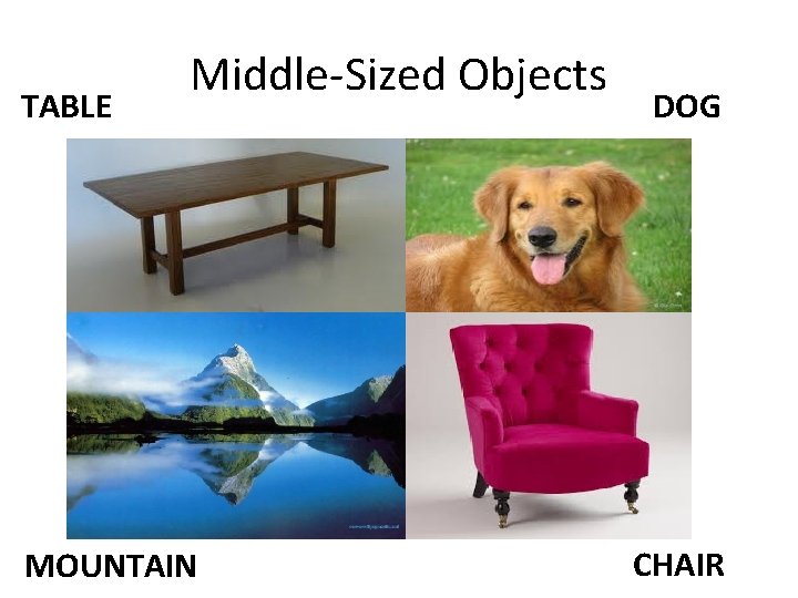 TABLE Middle-Sized Objects MOUNTAIN DOG CHAIR 