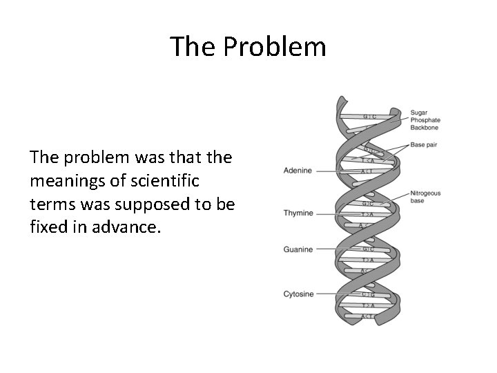 The Problem The problem was that the meanings of scientific terms was supposed to