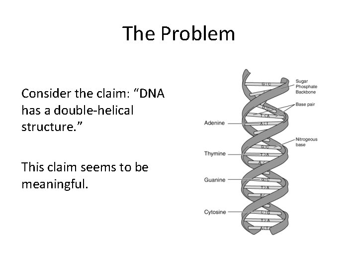 The Problem Consider the claim: “DNA has a double-helical structure. ” This claim seems