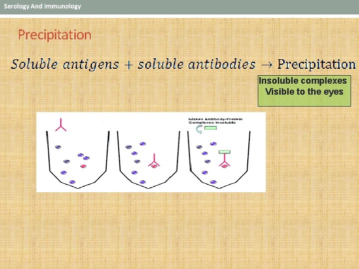 Precipitation Insoluble complexes Visible to the eyes 