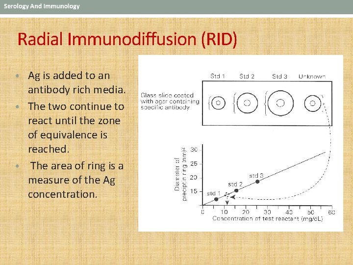 Radial Immunodiffusion (RID) • Ag is added to an antibody rich media. • The