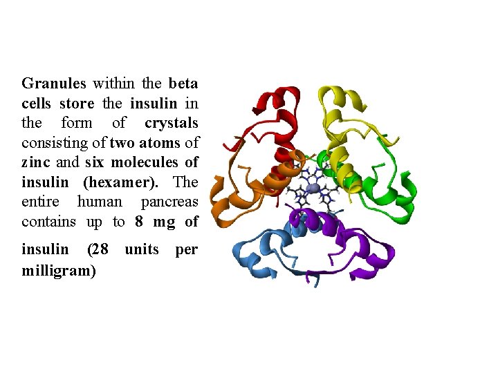 Granules within the beta cells store the insulin in the form of crystals consisting