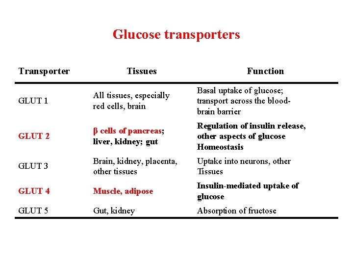 Glucose transporters Transporter Tissues Function GLUT 1 All tissues, especially red cells, brain Basal
