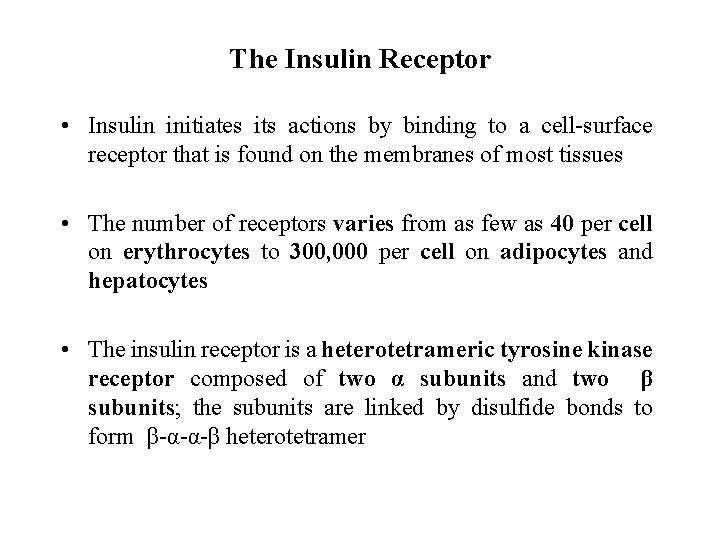 The Insulin Receptor • Insulin initiates its actions by binding to a cell-surface receptor