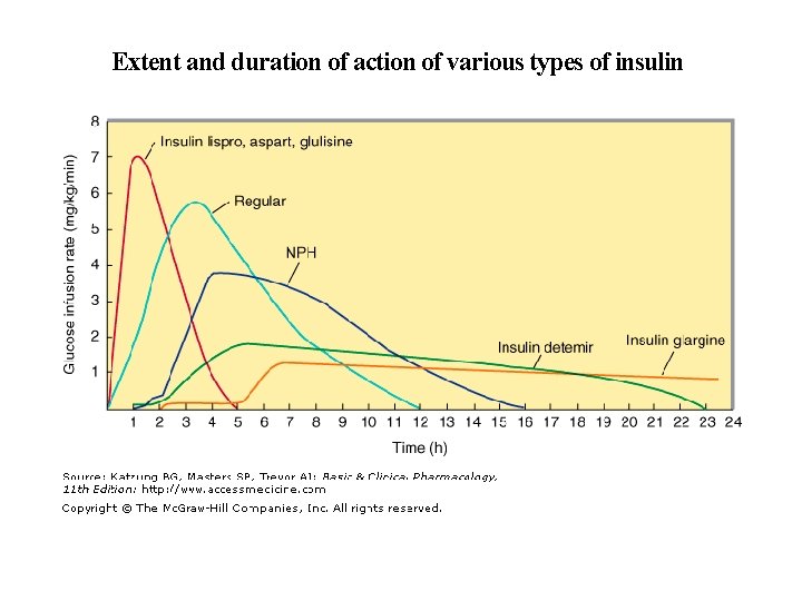 Extent and duration of action of various types of insulin 