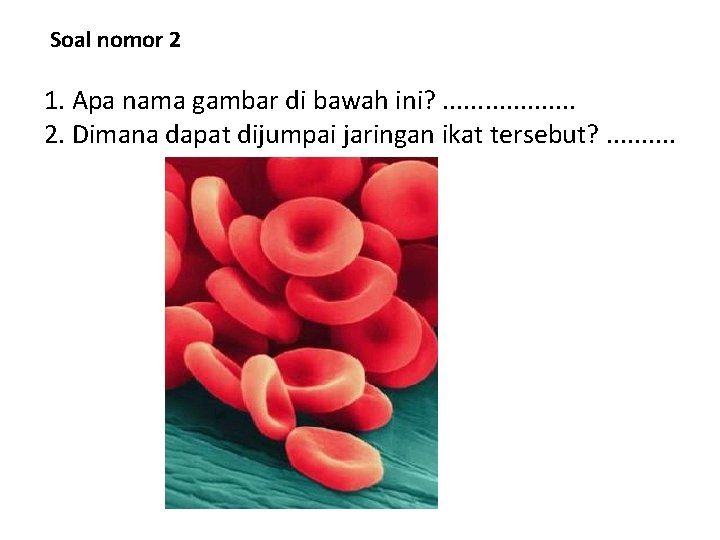 Soal nomor 2 1. Apa nama gambar di bawah ini? . . 2. Dimana