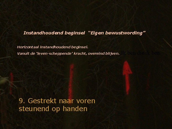 Instandhoudend beginsel “Eigen bewustwording” Horizontaal instandhoudend beginsel. Vanuit de ‘leven-scheppende’ kracht, overeind blijven. 9.