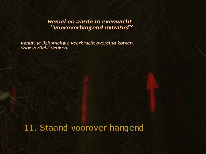 Hemel en aarde in evenwicht “vooroverbuigend initiatief” Vanuit je lichamelijke veerkracht overeind komen, door