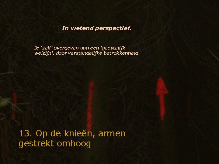 In wetend perspectief. Je ‘zelf’ overgeven aan een ‘geestelijk welzijn’, door verstandelijke betrokkenheid. 13.