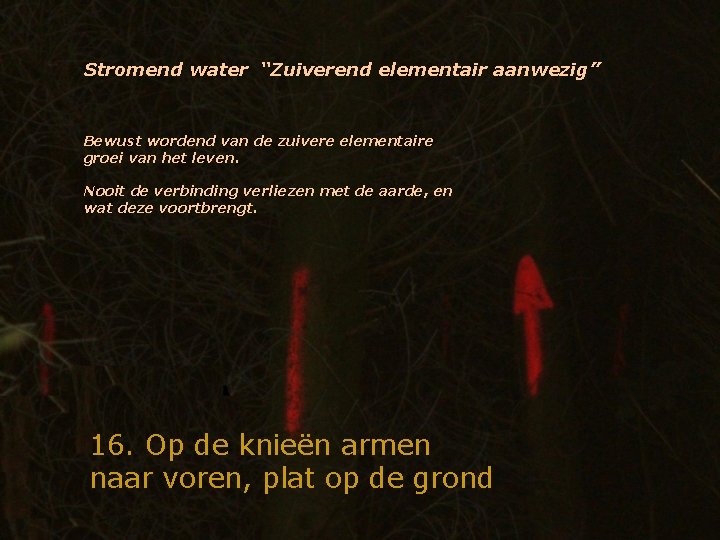 Stromend water “Zuiverend elementair aanwezig” Bewust wordend van de zuivere elementaire groei van het