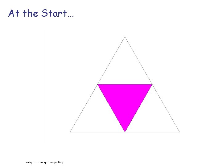 At the Start… Insight Through Computing 