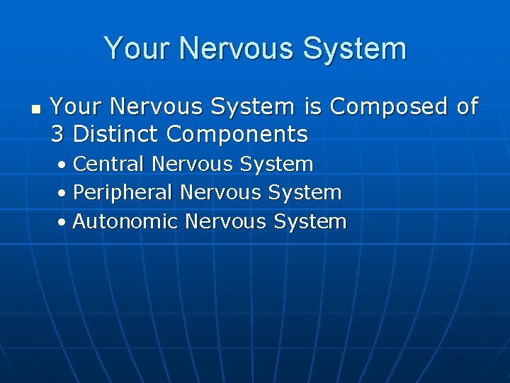 Your Nervous System n Your Nervous System is Composed of 3 Distinct Components •