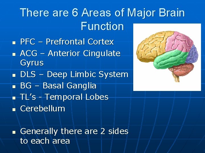 There are 6 Areas of Major Brain Function n n n PFC – Prefrontal
