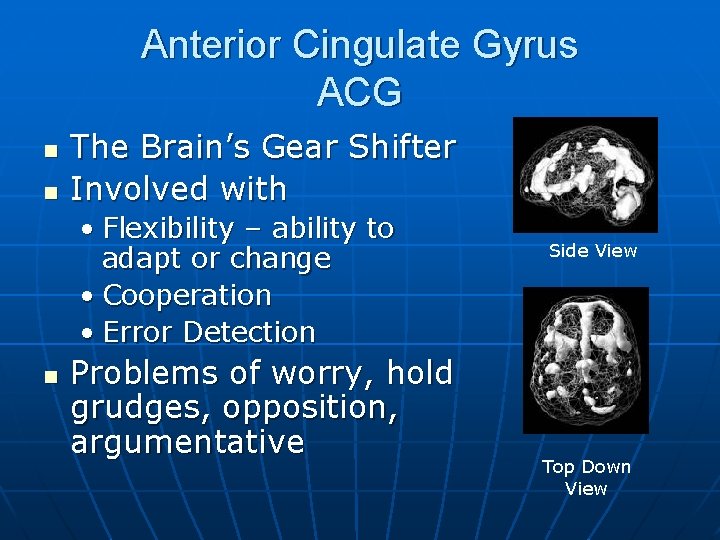 Anterior Cingulate Gyrus ACG n n The Brain’s Gear Shifter Involved with • Flexibility