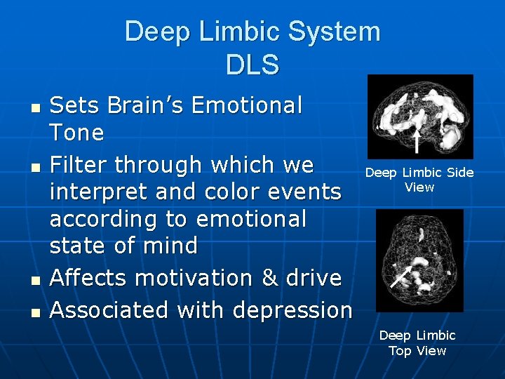 Deep Limbic System DLS n n Sets Brain’s Emotional Tone Filter through which we