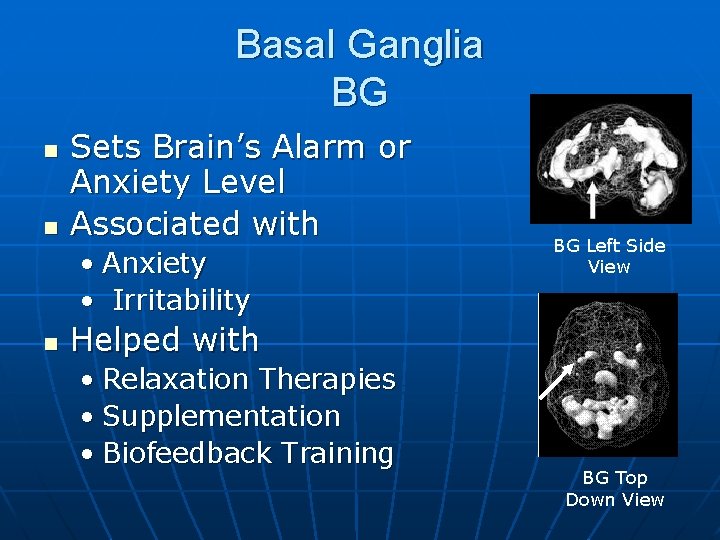 Basal Ganglia BG n n Sets Brain’s Alarm or Anxiety Level Associated with •