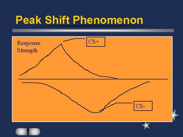 Peak Shift Phenomenon Response Strength CS+ CS- 