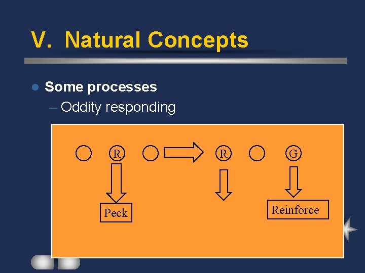 V. Natural Concepts l Some processes – Oddity responding R Peck R G Reinforce