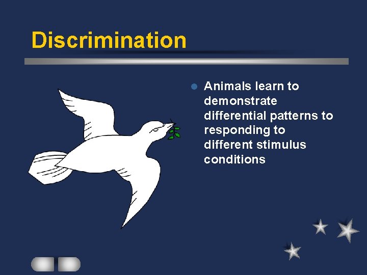 Discrimination l Animals learn to demonstrate differential patterns to responding to different stimulus conditions