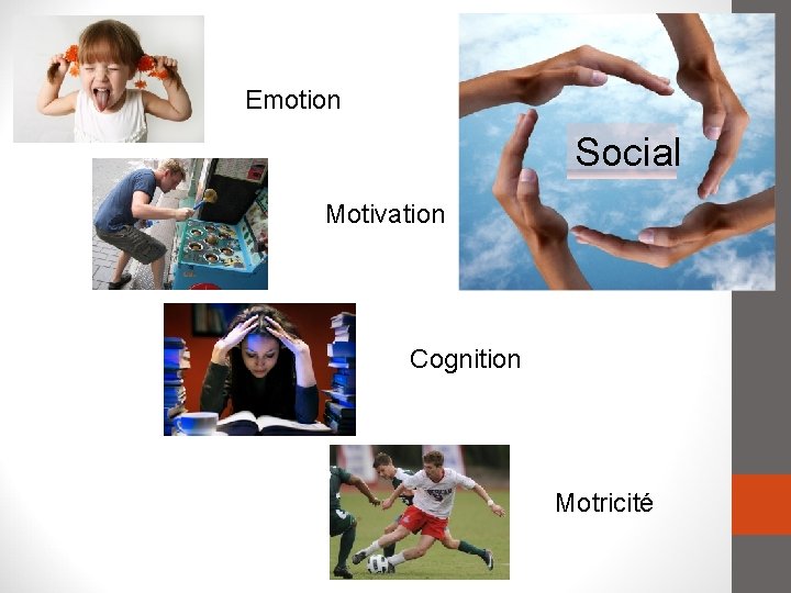 Emotion Social Motivation Cognition Motricité 