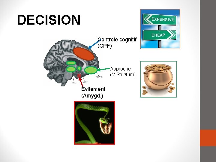 DECISION Controle cognitif (CPF) Approche (V. Striatum) Evitement (Amygd. ) 