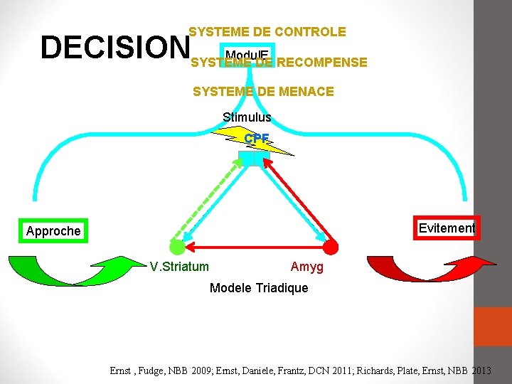 SYSTEME DE CONTROLE DECISIONSYSTEME Modul. E DE RECOMPENSE SYSTEME DE MENACE Stimulus CPF Evitement