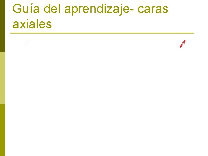 Guía del aprendizaje- caras axiales 