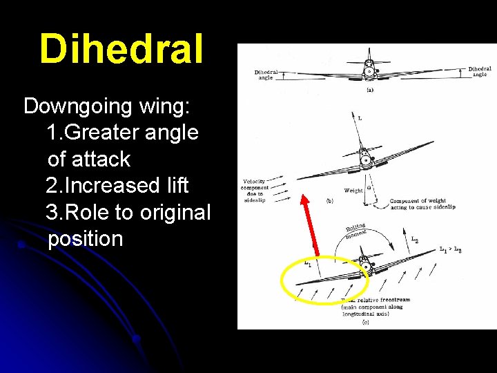 Dihedral Downgoing wing: 1. Greater angle of attack 2. Increased lift 3. Role to