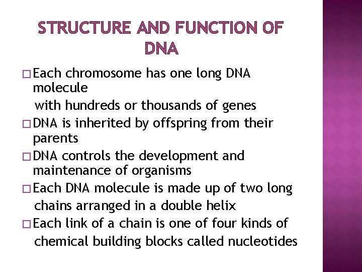 STRUCTURE AND FUNCTION OF DNA � Each chromosome has one long DNA molecule with