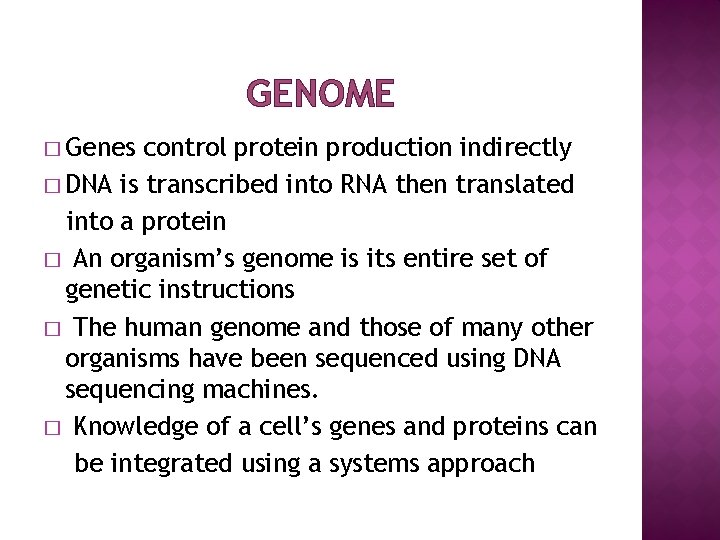 GENOME � Genes control protein production indirectly � DNA is transcribed into RNA then