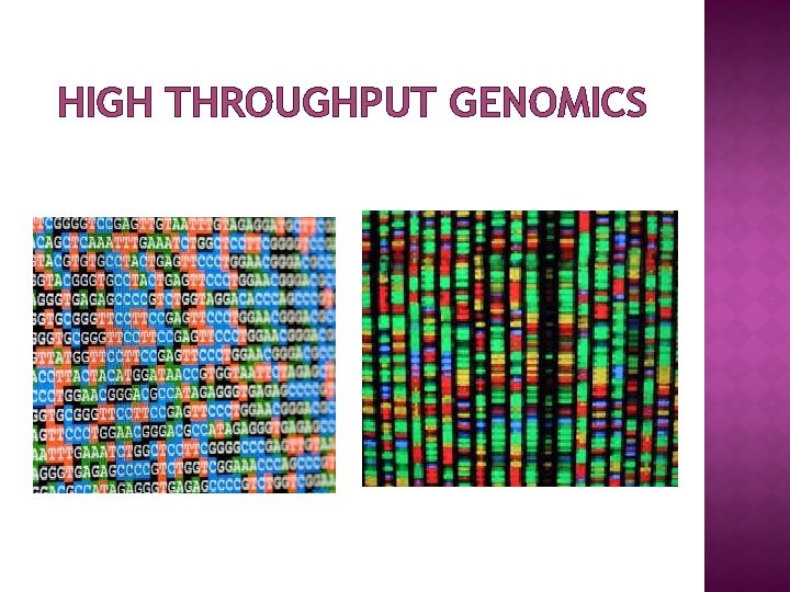 HIGH THROUGHPUT GENOMICS 