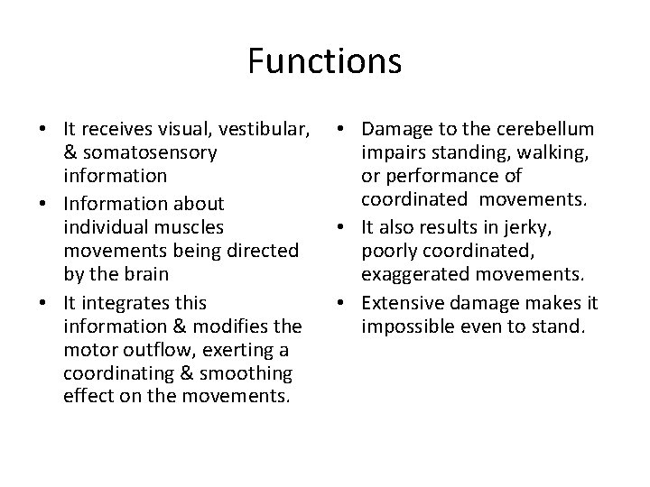 Functions • It receives visual, vestibular, & somatosensory information • Information about individual muscles Functions • It receives visual, vestibular, & somatosensory information • Information about individual muscles