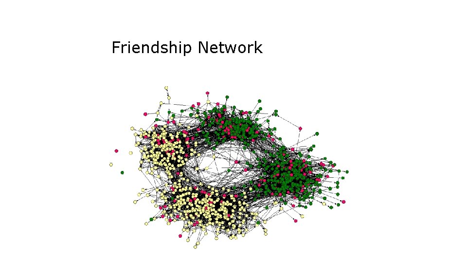 Friendship Network 