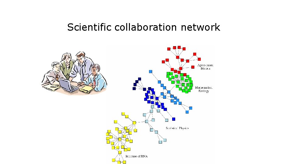 Scientific collaboration network 