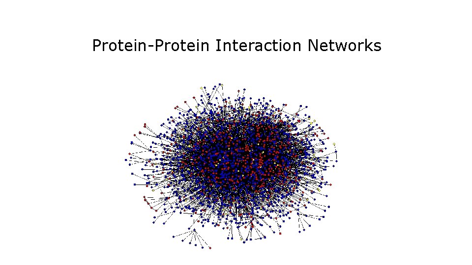 Protein-Protein Interaction Networks 