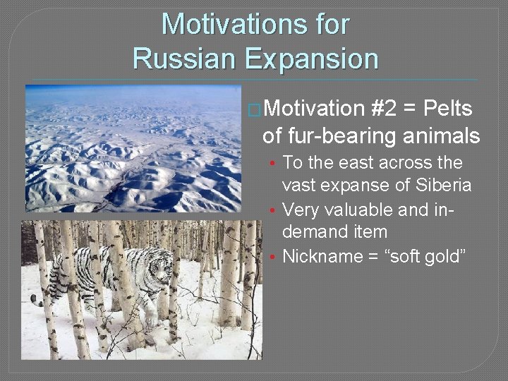 Motivations for Russian Expansion �Motivation #2 = Pelts of fur-bearing animals • To the