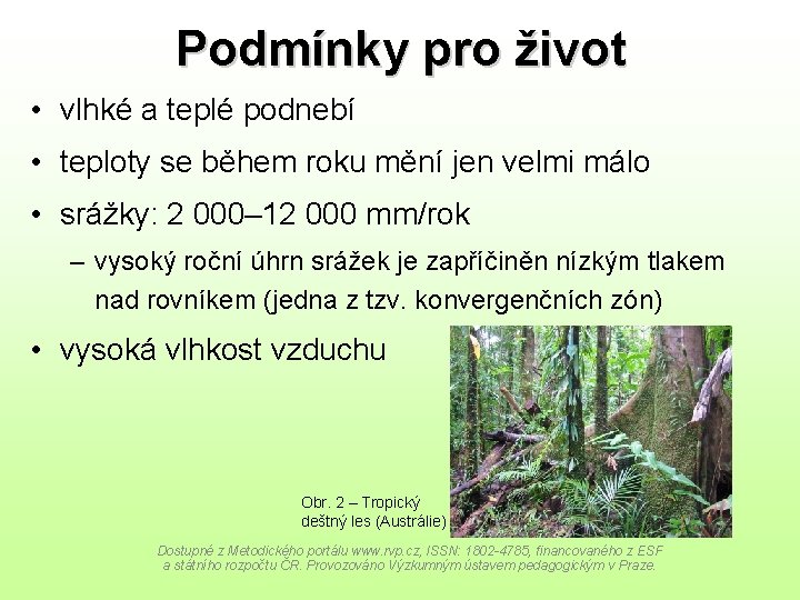 Podmínky pro život • vlhké a teplé podnebí • teploty se během roku mění