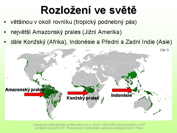 Rozložení ve světě • většinou v okolí rovníku (tropický podnebný pás) • největší Amazonský