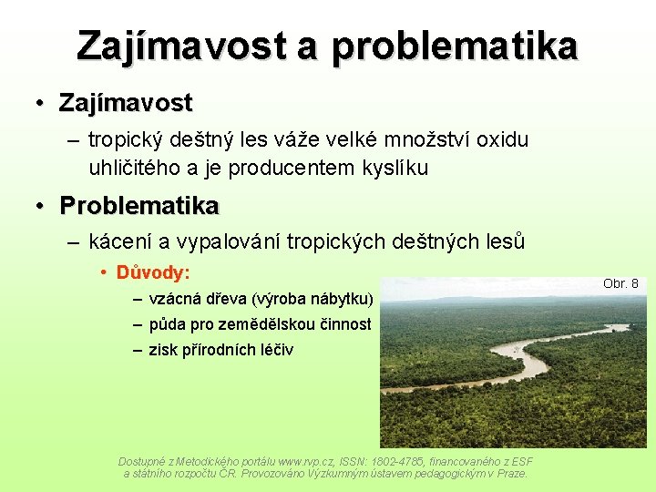 Zajímavost a problematika • Zajímavost – tropický deštný les váže velké množství oxidu uhličitého