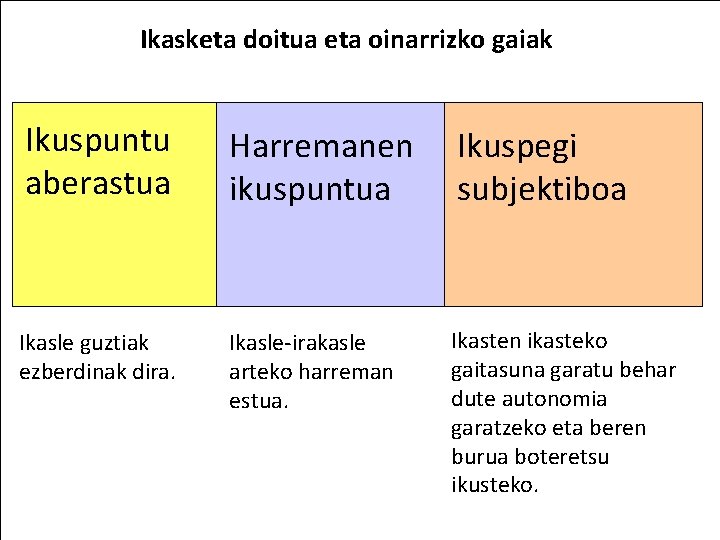 Ikasketa doitua eta oinarrizko gaiak Ikuspuntu aberastua Harremanen ikuspuntua Ikuspegi subjektiboa Ikasle guztiak ezberdinak