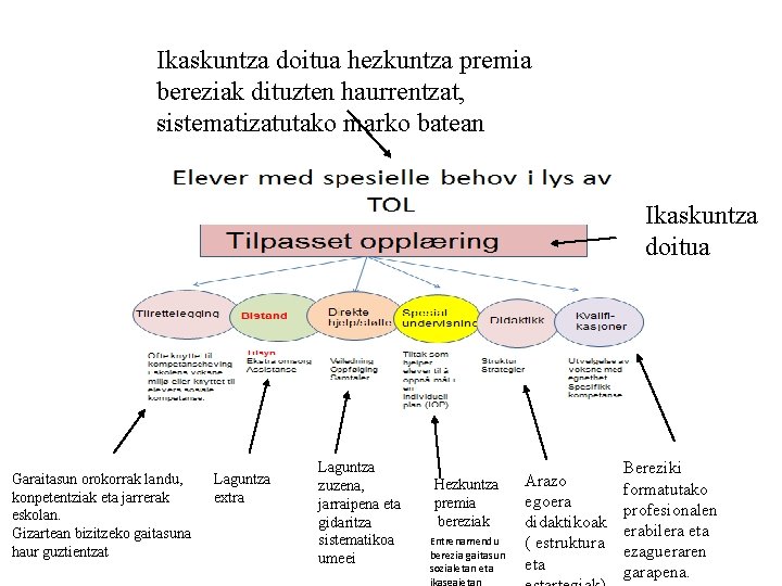 Ikaskuntza doitua hezkuntza premia bereziak dituzten haurrentzat, sistematizatutako marko batean Ikaskuntza doitua Garaitasun orokorrak