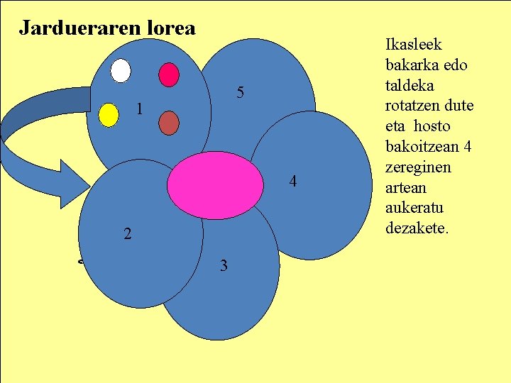 Jardueraren lorea 5 1 4 2 3 Ikasleek bakarka edo taldeka rotatzen dute eta