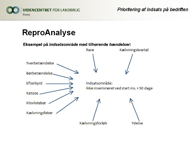 Prioritering af indsats på bedriften Repro. Analyse 