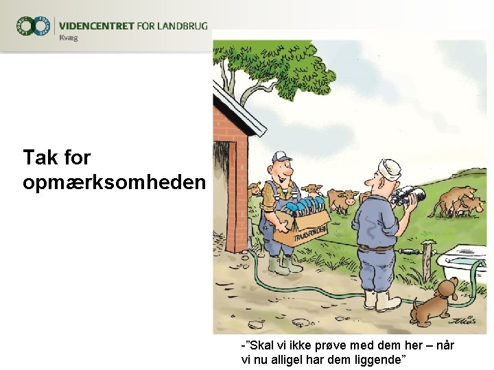 Tak for opmærksomheden -”Skal vi ikke prøve med dem her – når vi nu