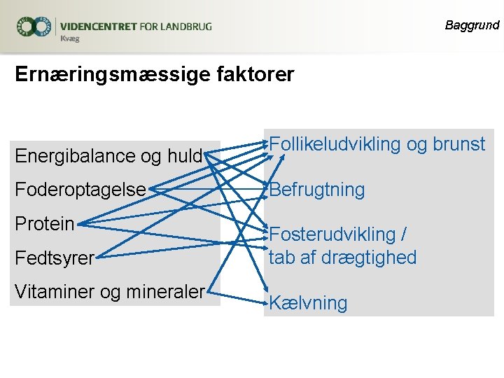 Baggrund Ernæringsmæssige faktorer Energibalance og huld Foderoptagelse Protein Fedtsyrer Vitaminer og mineraler Follikeludvikling og