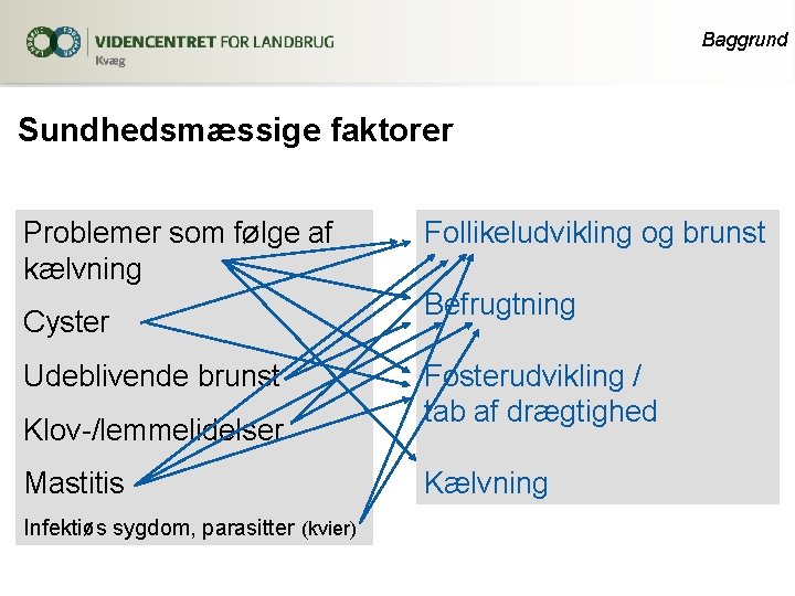 Baggrund Sundhedsmæssige faktorer Problemer som følge af kælvning Cyster Udeblivende brunst Klov-/lemmelidelser Mastitis Infektiøs